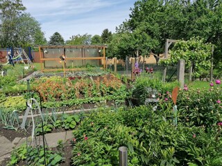 Wir leben unser Motto: Vom Garten auf den Teller.