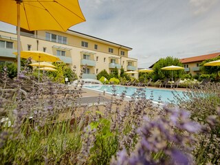 Liegewiese am Pool 5