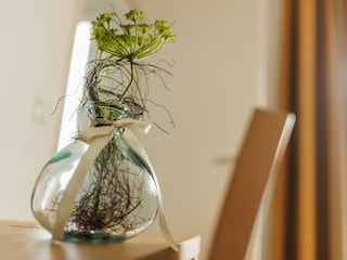 Detail Zimmerpflanze