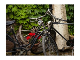 Heimat von Johann Puch