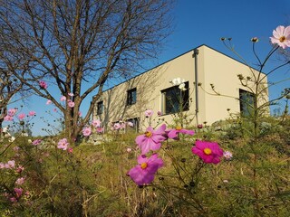 einischaun-ferienhaus1