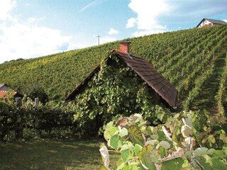 Blick auf die Riede Seindl