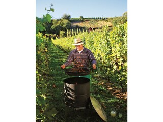 Kastanienbraten im Herbst am Winzerhof