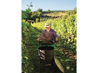 Kastanienbraten im Herbst am Winzerhof