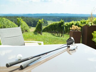 Abschlag in den Weingarten