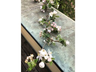 fruehling-ausblick-terrasse_altstadt-apartments