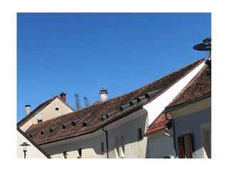altstadt-apartments-stoerche-natur-bad-radkersburg