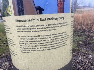 altstadt-apartments-stoerche-natur-bad-radkersburg
