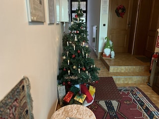 weihnachtsstimmung-altstadt-apartments-christbaum