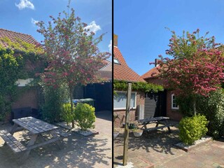 Vakantiehuis Heinkenszand Omgeving 15