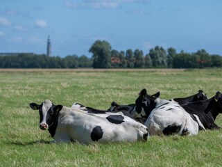 Vakantiehuis Heinkenszand Omgeving 8