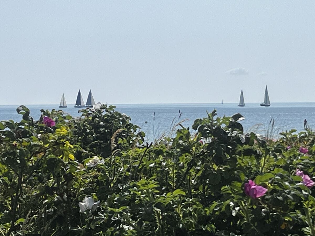 Blick auf die Ostsee 300 m vom Strandläufer entfernt