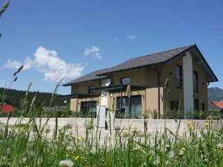 Appartamento Bad Mitterndorf Registrazione all'aperto 17