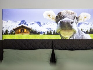 Appartamento Bad Mitterndorf Caratteristiche 55
