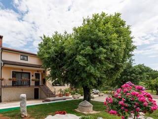 Appartamento Vižinada Registrazione all'aperto 5