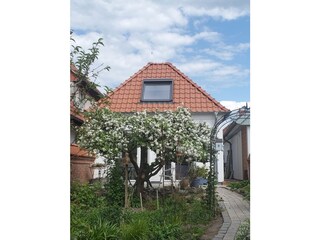Blick auf die FEWO