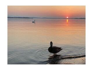 Sonnenuntergang am Chiemsee