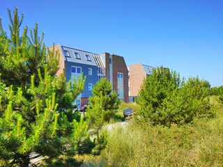 Appartamento per vacanze Callantsoog Caratteristiche 23