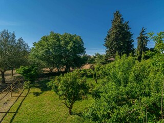 Villa Sencelles Entorno 58