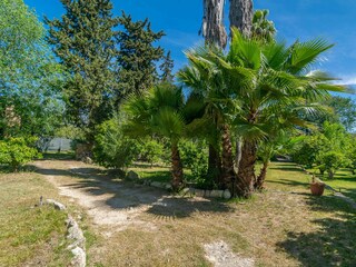 Villa Sencelles Entorno 59