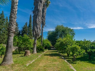 Villa Sencelles Entorno 60