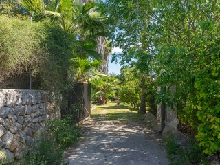 Villa Sencelles Entorno 61