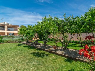 Villa Manacor Registrazione all'aperto 3