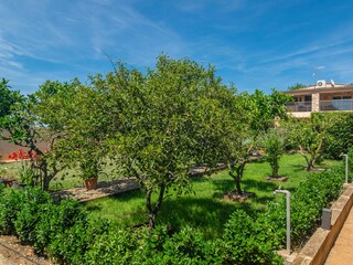 Villa Manacor Ambiente 40