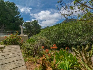 Villa Font de sa Cala Ambiente 37