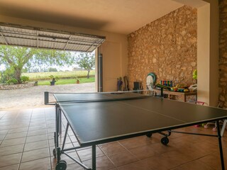 Villa Manacor Registrazione all'aperto 13