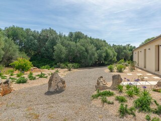 Villa Santanyi Entorno 39