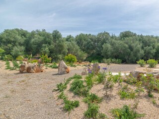 Villa Santanyi Entorno 40