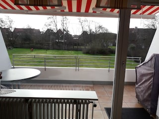 Blick auf die Wiese