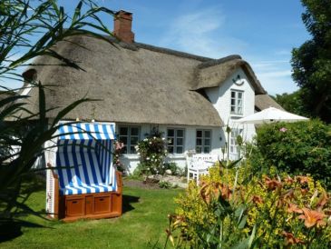Ferienhaus Witthuis - Perle am Deich