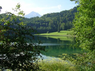 Landschaft