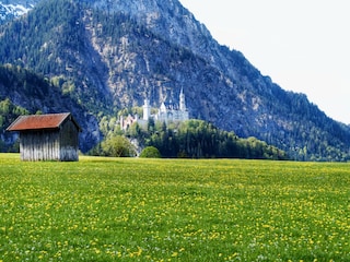 Schloss Neuschwanstein