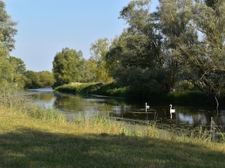 Löcknitzufer am Dorfende