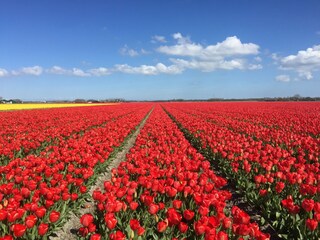 Appartamento Egmond aan Zee Ambiente 34