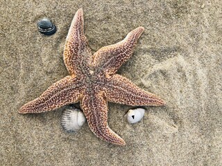 Appartement Egmond aan Zee Environnement 33