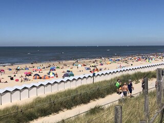 Appartement Egmond aan Zee Environnement 27