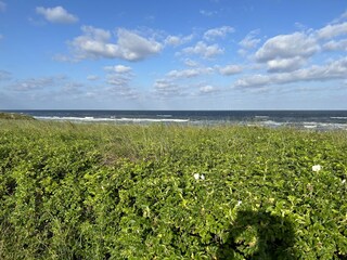 Appartamento Egmond aan Zee Ambiente 40
