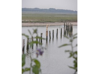 Casa per le vacanze Cadzand-Bad Ambiente 40