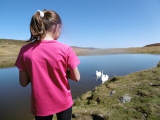 Vakantieappartement Enneberg Omgeving 43