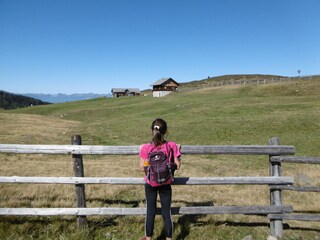 Vakantieappartement Enneberg Omgeving 44