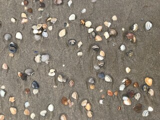 Casa per le vacanze Bergen aan Zee Ambiente 32