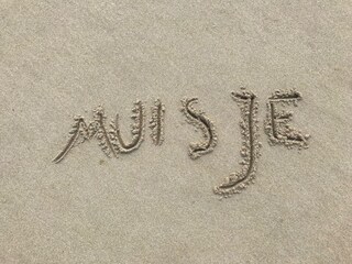 Casa per le vacanze Bergen aan Zee Documento 39