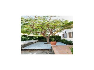 Holiday house San Agustin (Gran Canaria) Outdoor Recording 3