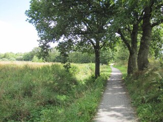 Casa de vacaciones Twijzelerheide Entorno 34