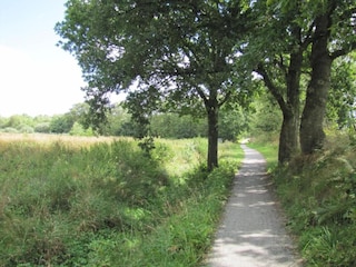 Maison de vacances Twijzelerheide Environnement 35