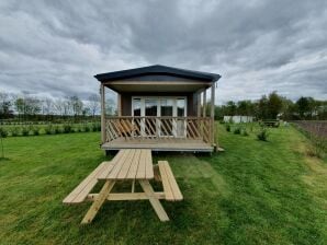 Ferienhaus Ruhiges Chalet in Schoonloo mit Terrasse - Grolloo - image1